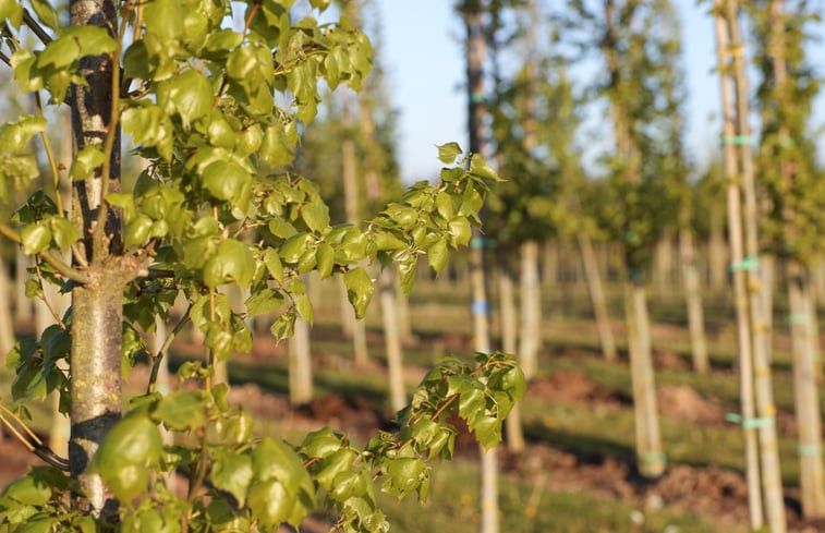 Natuurhuisje in Beers