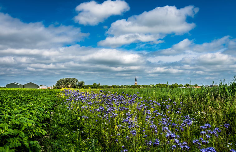 Natuurhuisje in Klooster Lidlum