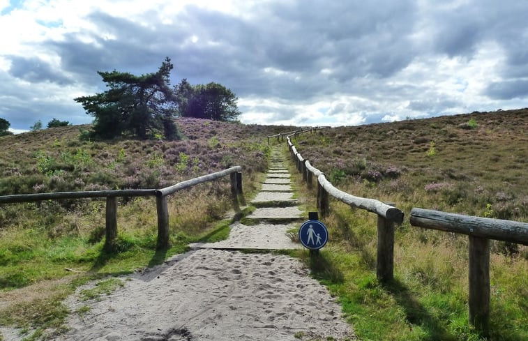 Natuurhuisje in Epe Veluwe