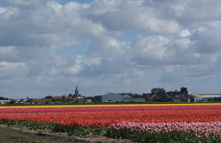 Natuurhuisje in De Zilk