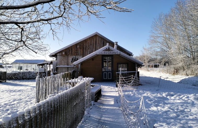 Natuurhuisje in Wedde