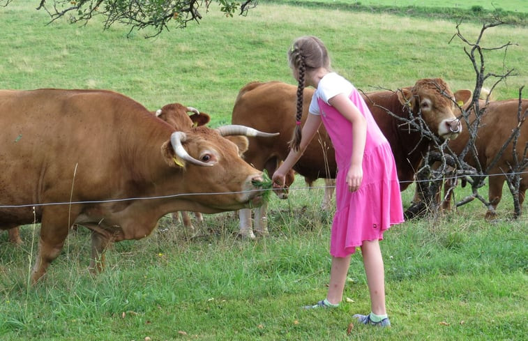 Natuurhuisje in Mossautal / Ober-Mossau