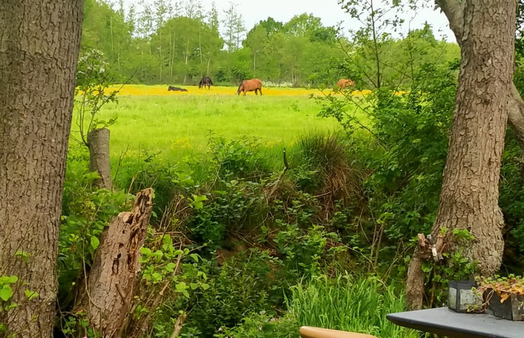 Natuurhuisje in Kollumerzwaag