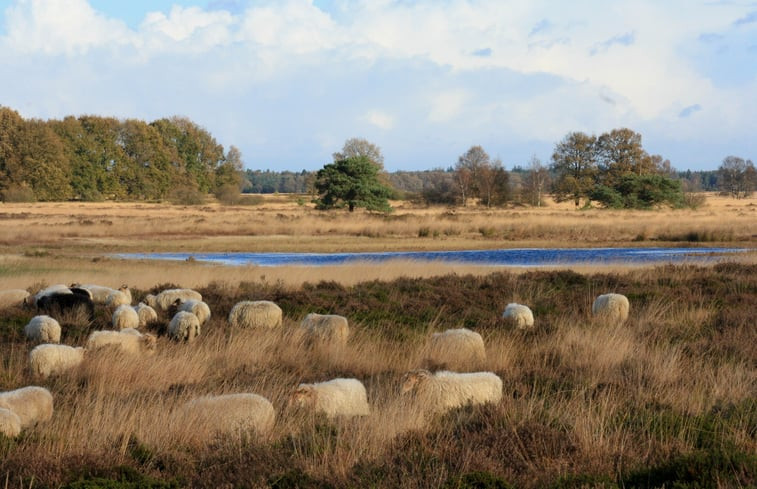 Natuurhuisje in Ansen