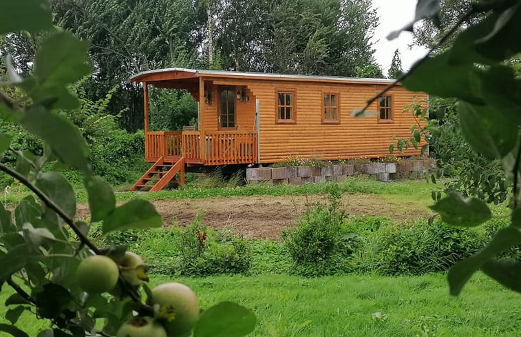 Natuurhuisje in Wapserveen