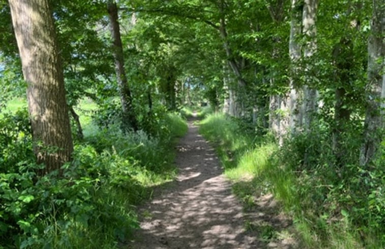 Natuurhuisje in Glimmen