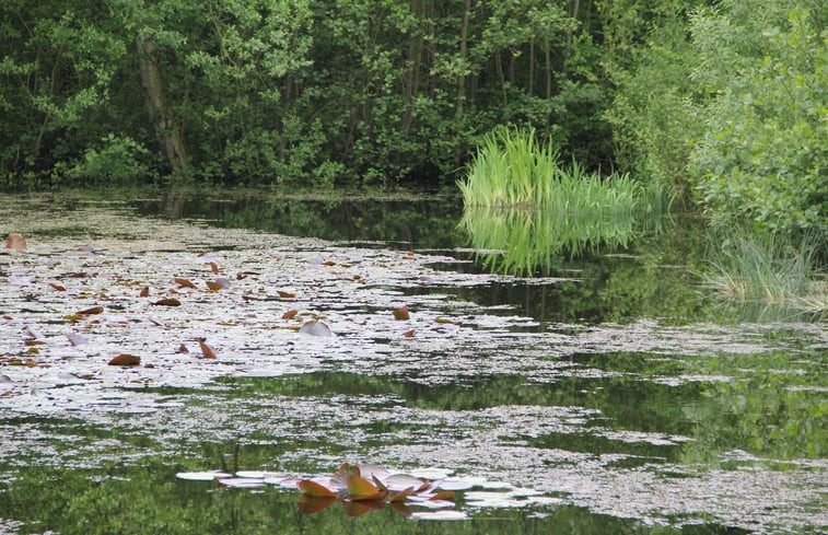 Natuurhuisje in Burgh-Haamstede