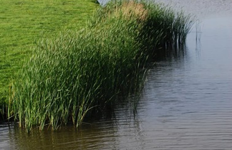 Natuurhuisje in Makkum (Friesland)