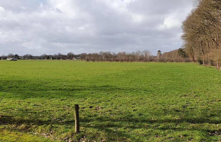 Natuurhuisje in Elspeet