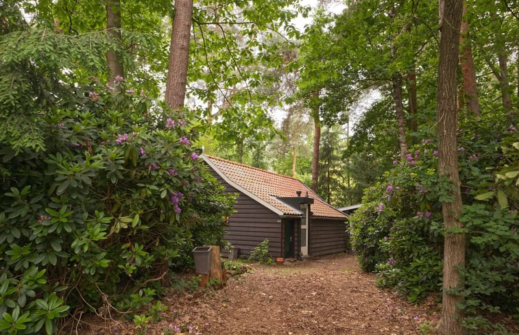 Natuurhuisje in Lochem