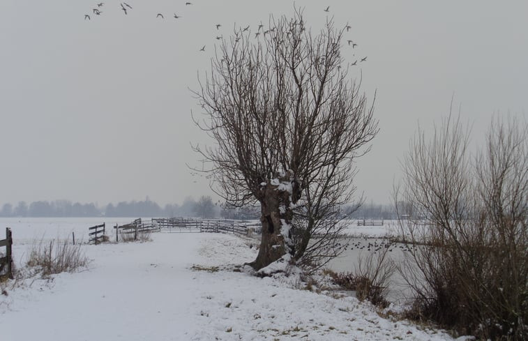 Natuurhuisje in Stolwijk