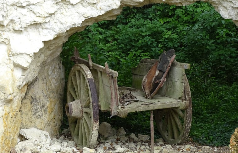 Natuurhuisje in Fontaine Guerin, Les Bois d&apos;Anjou