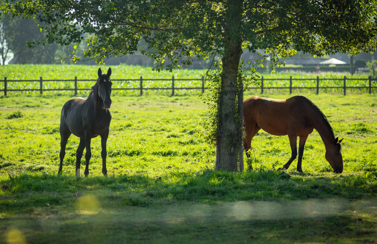 Natuurhuisje in houthulst