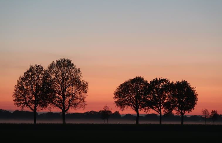 Natuurhuisje in Mantinge