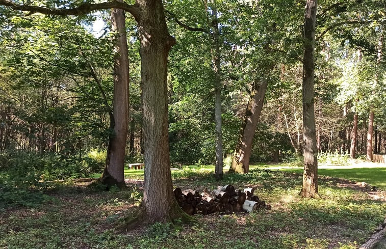 Natuurhuisje in Halle Zoersel