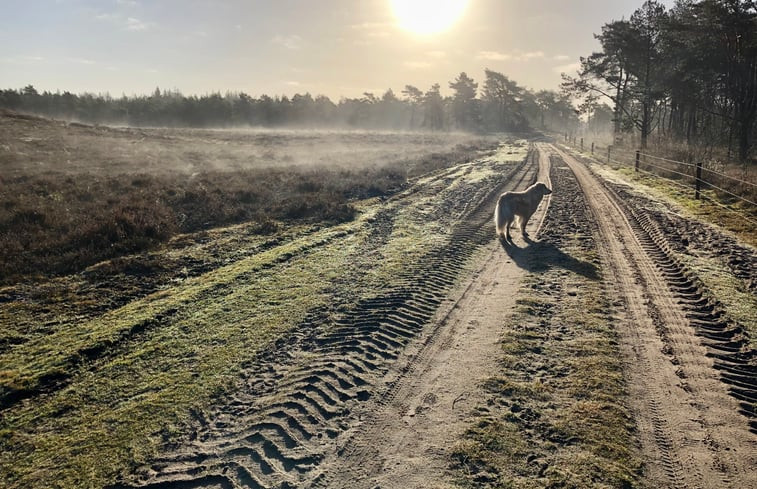 Natuurhuisje in Wezep