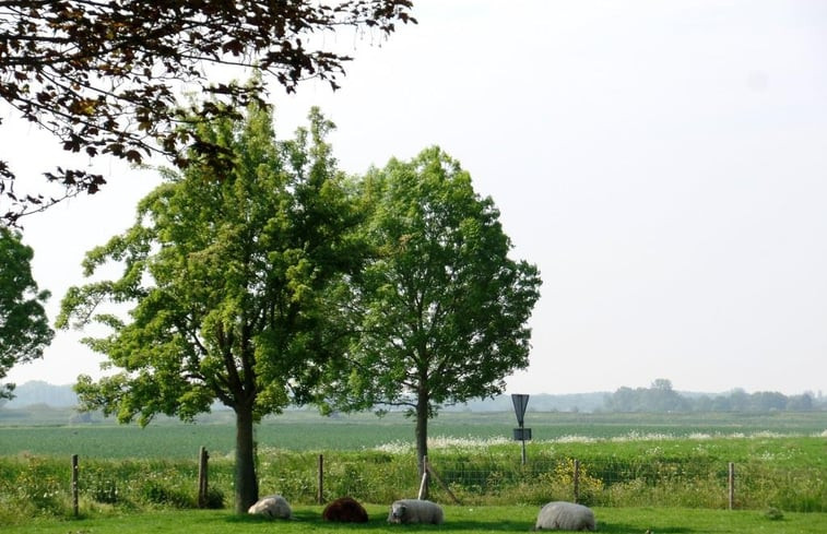 Natuurhuisje in Zonnemaire