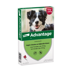 Advantage Nr. 250 vlooienmiddel (10 tot 25kg) hond 1 verpakking