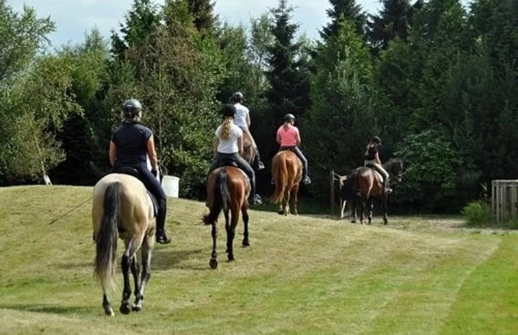 Natuurhuisje in Großefehn