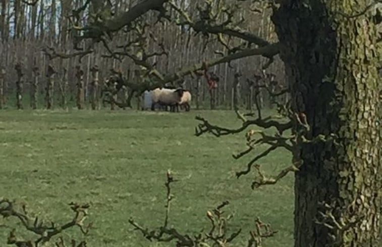 Natuurhuisje in Schalkwijk(Houten)