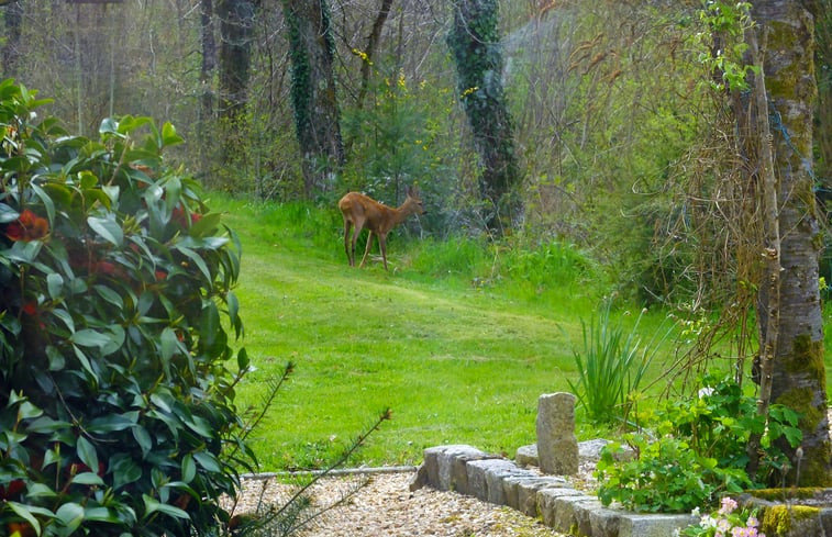 Natuurhuisje in Bussière-Galant