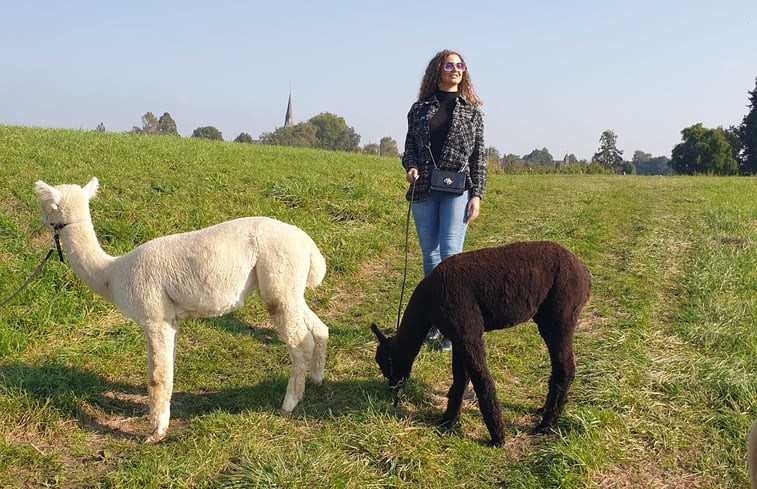 Natuurhuisje in Nederasselt