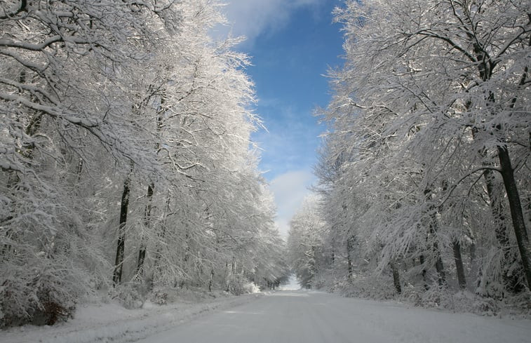 Natuurhuisje in Auby-sur-Semois