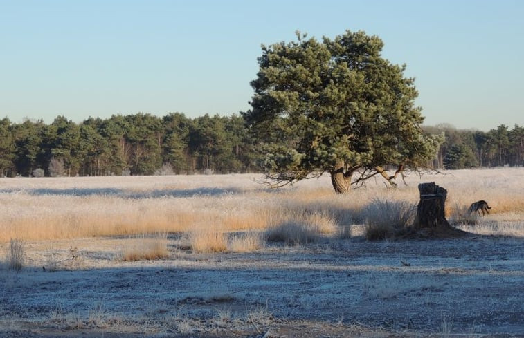 Natuurhuisje in Harfsen