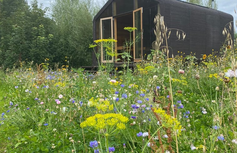 Natuurhuisje in Almere