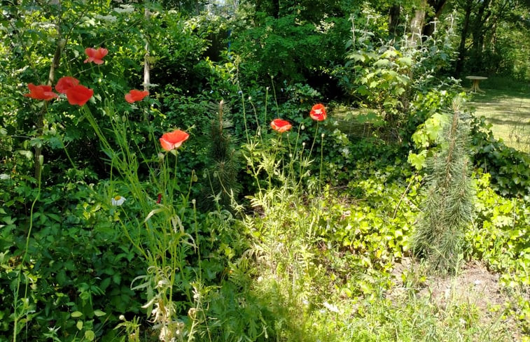 Natuurhuisje in Winterswijk