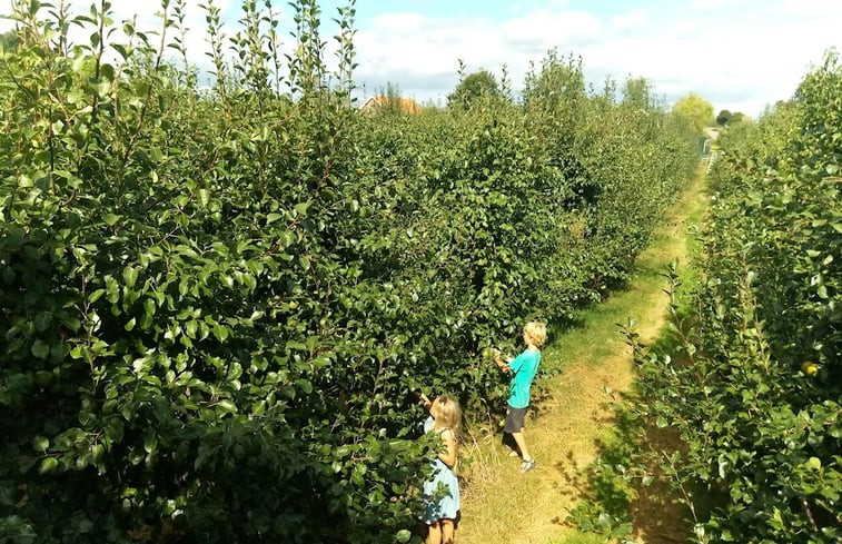 Natuurhuisje in Tienhoven a/d Lek