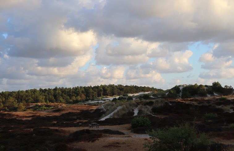 Natuurhuisje in Schoorl