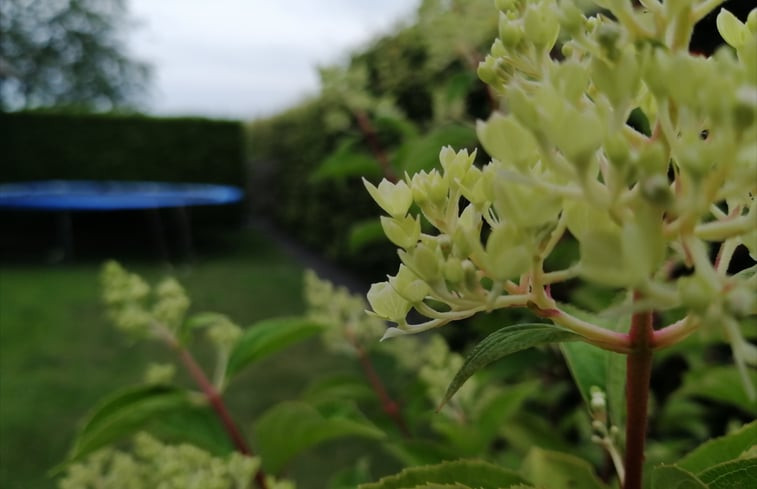 Natuurhuisje in Wekerom