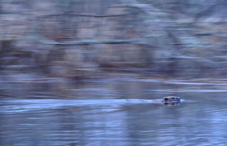 Natuurhuisje in Skultuna