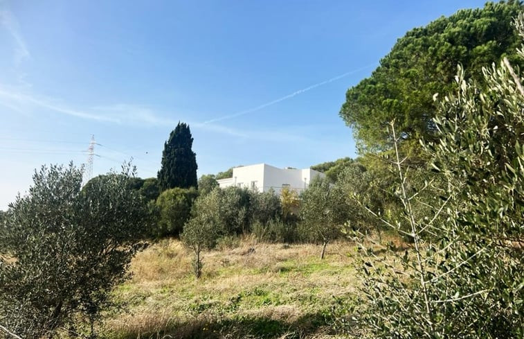 Natuurhuisje in Olbia