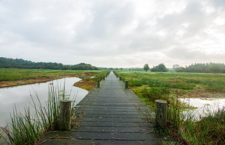 Natuurhuisje in Hapert