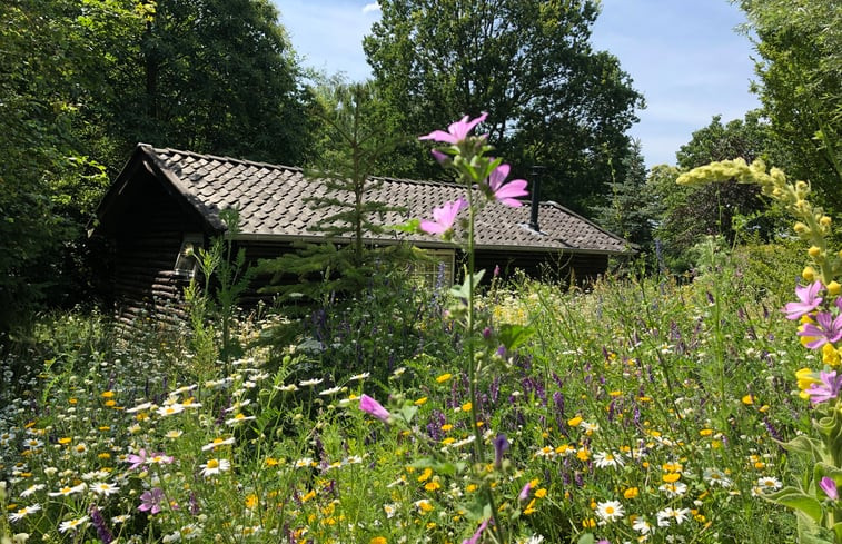 Natuurhuisje in Empe