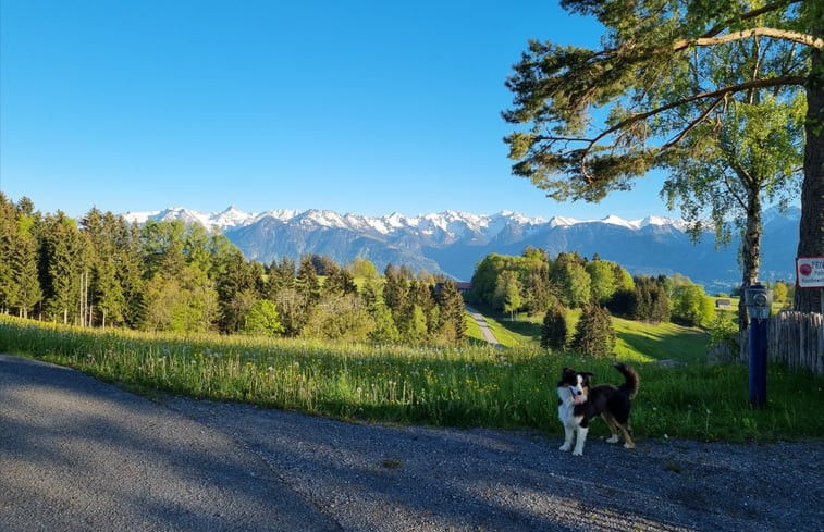 Natuurhuisje in Übersaxen