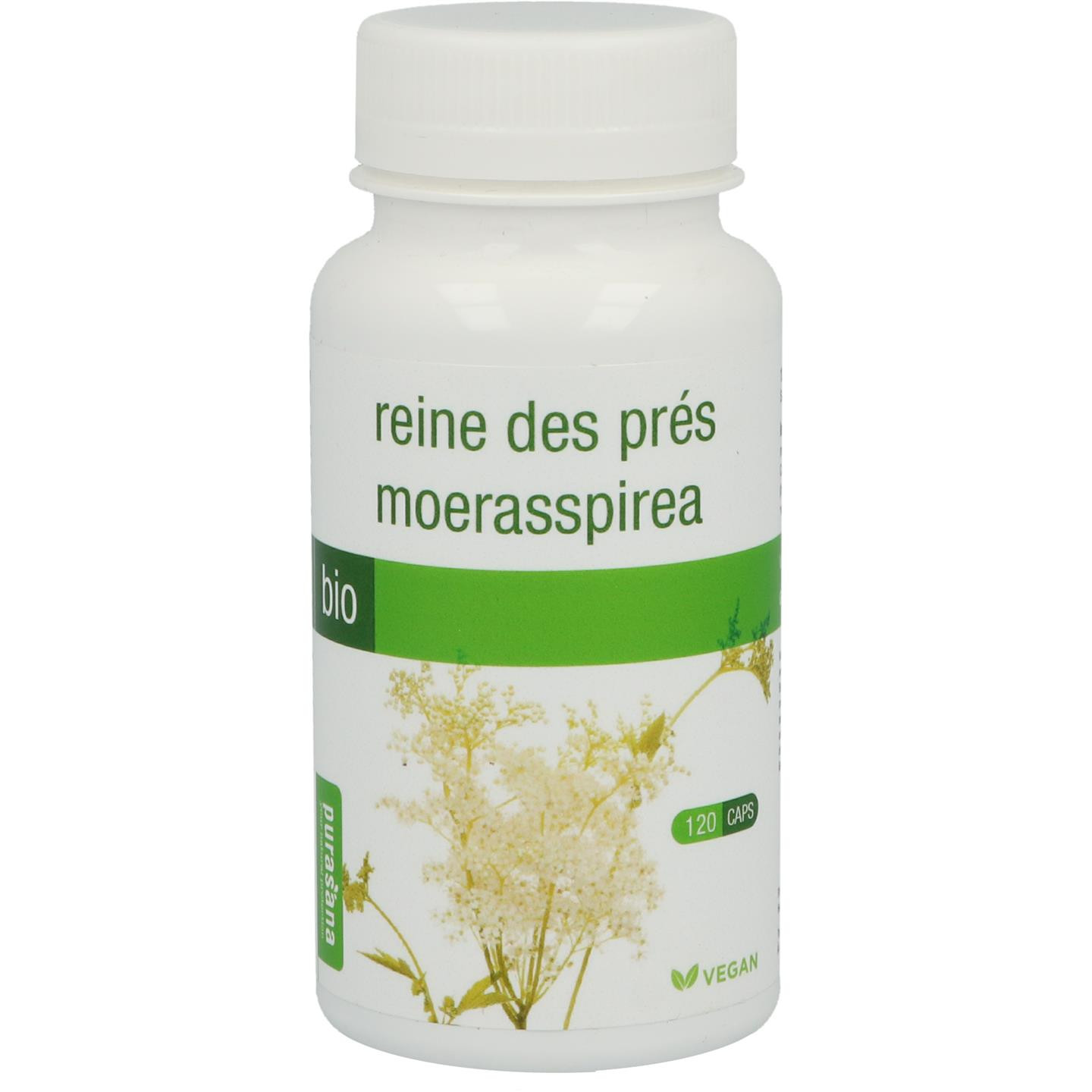 Moerasspirea