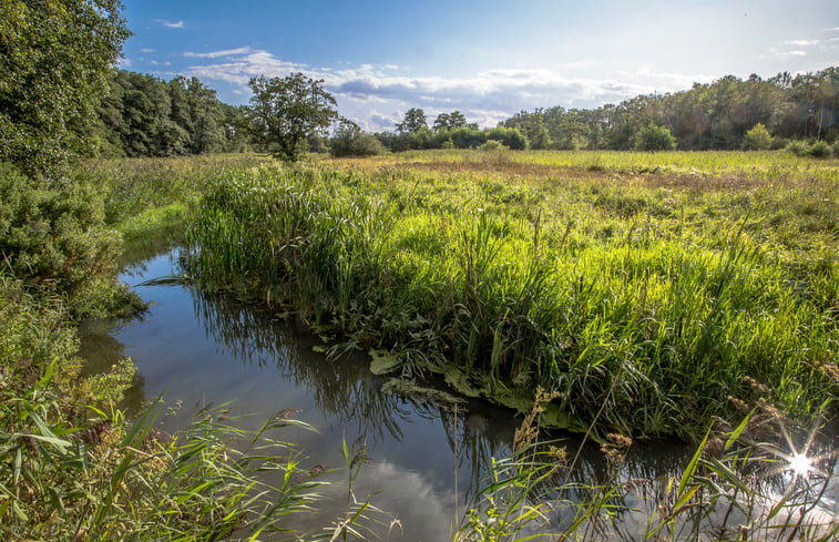 Natuurhuisje in Zeegse