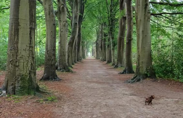 Natuurhuisje in Oranjewoud