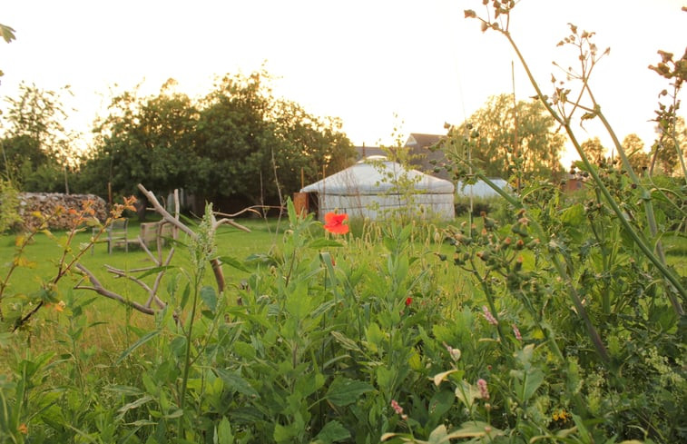 Natuurhuisje in Sauwerd