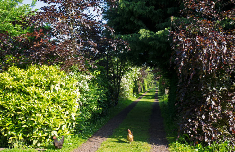 Natuurhuisje in Hazerswoude-Dorp