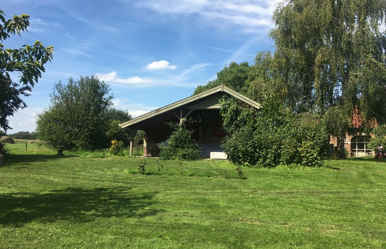 Natuurhuisje in Geesteren