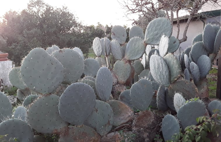 Natuurhuisje in Valverde