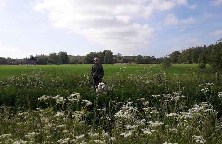 Natuurhuisje in Voorstonden Gem. Brummen