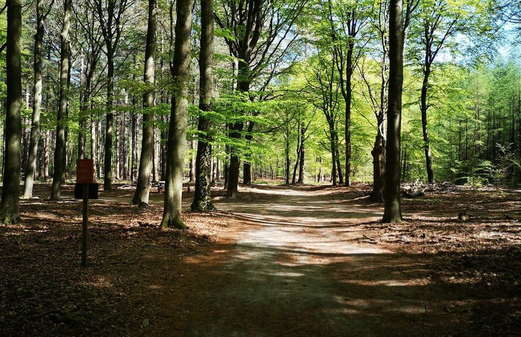 Natuurhuisje in Putten