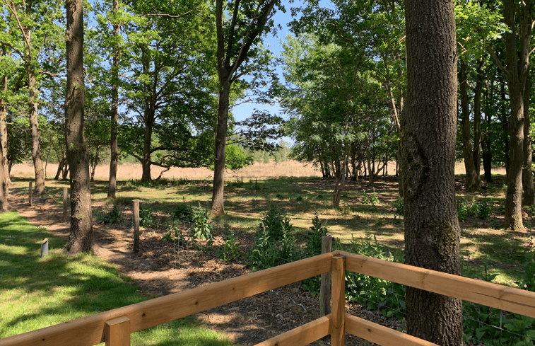 Natuurhuisje in Beilen