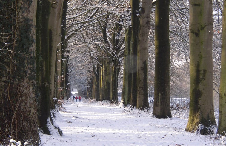 Natuurhuisje in Horn