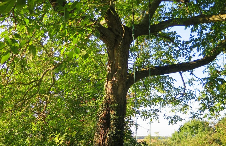 Natuurhuisje in Chevillé